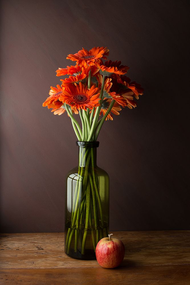 Gerberas