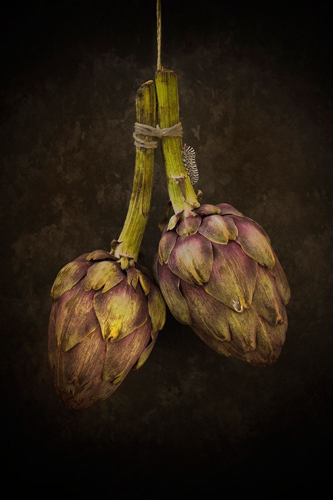Artichoke