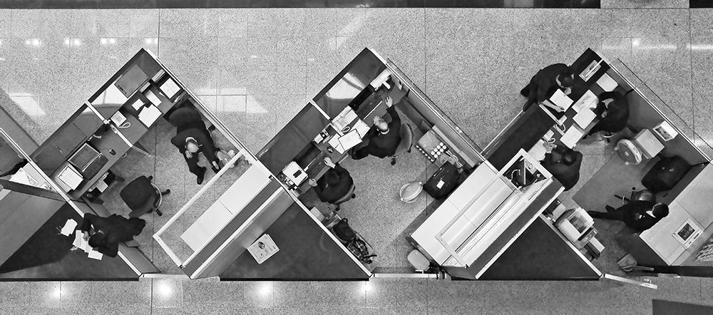 Cubicle Life