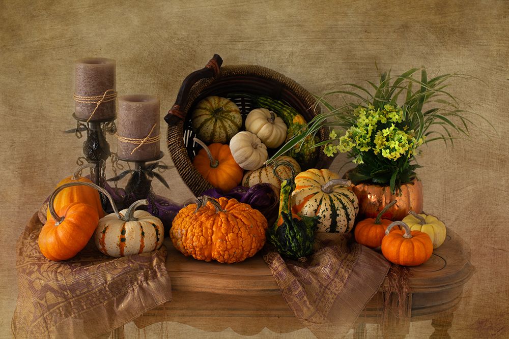 Autumn Gathering