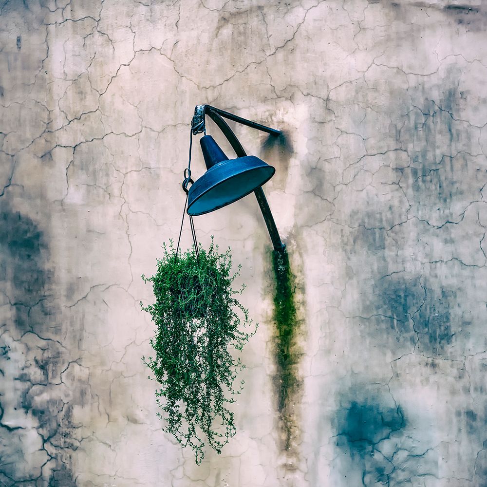 Wall