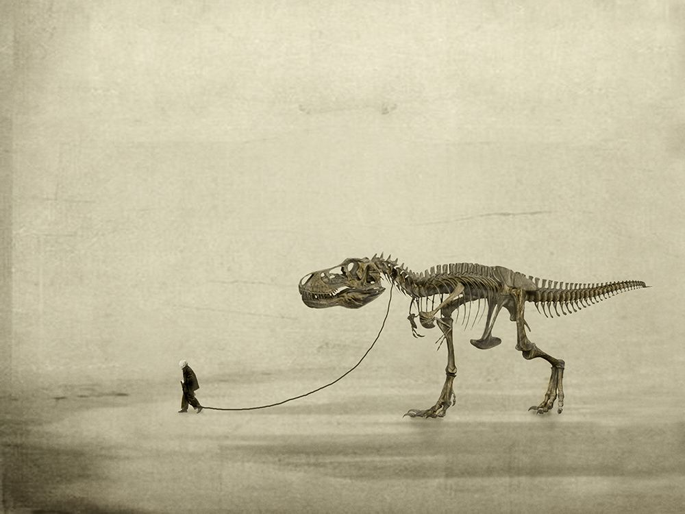 The Walk