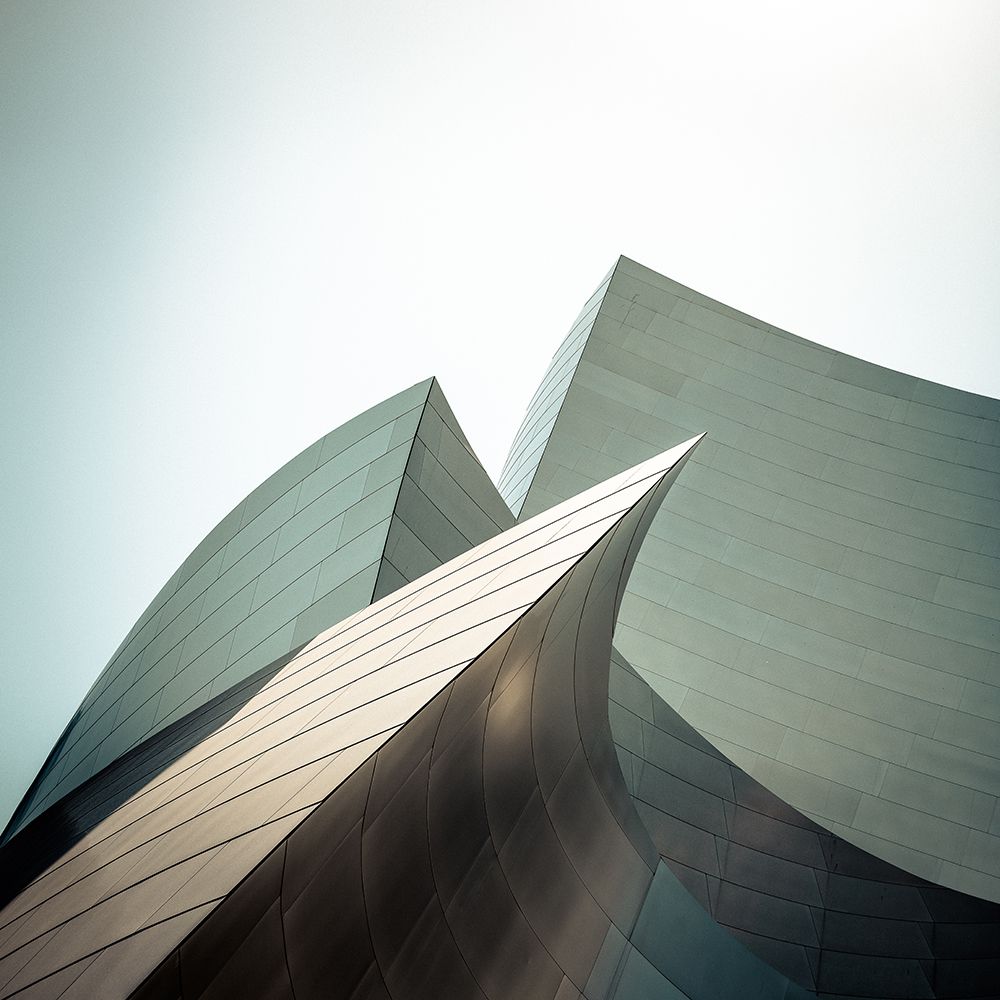 Walt Disney Concert Hall - study I