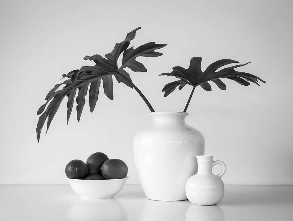 Tropical Leaves