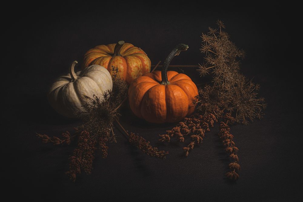 Before Halloween