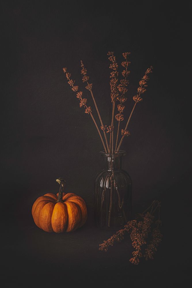 Lavenders and the Pumpkin