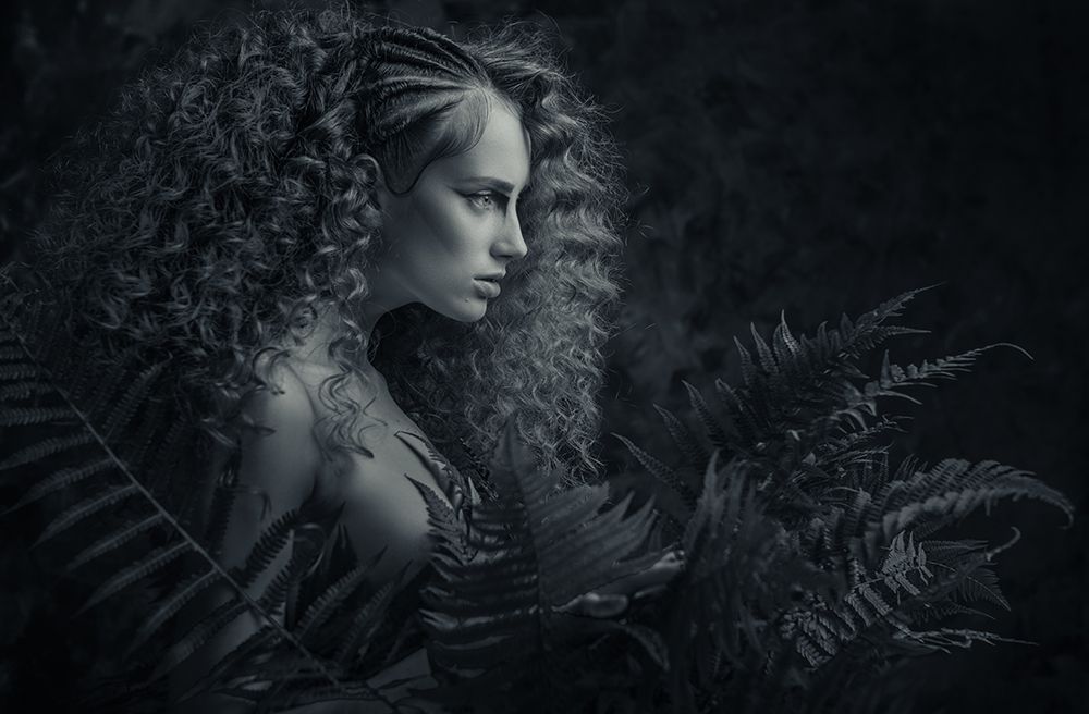 Fern blossom