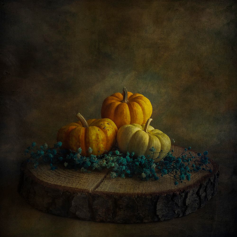 Waiting for Halloween