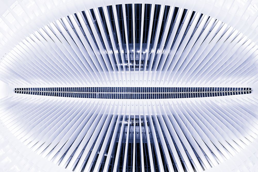 OCULUS