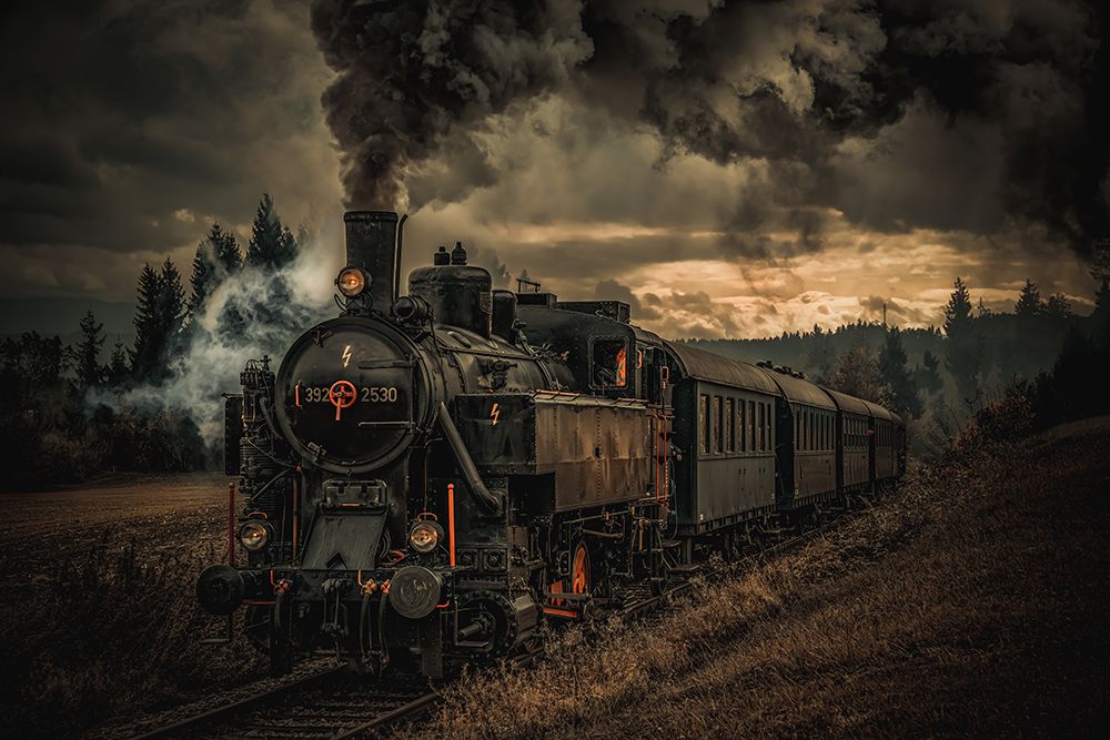 Gold Digger Train