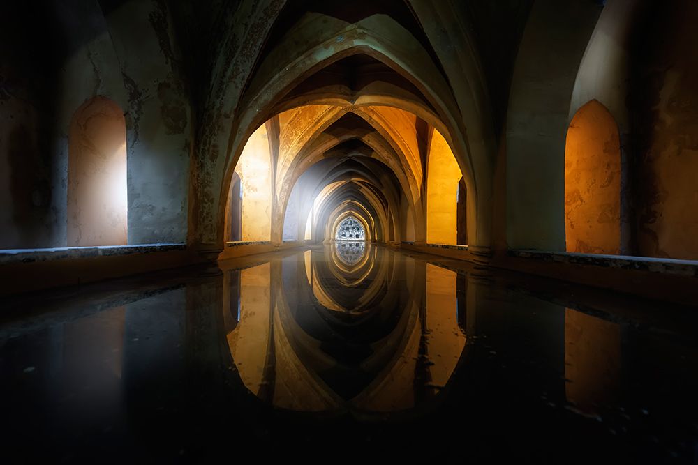 Light And Water