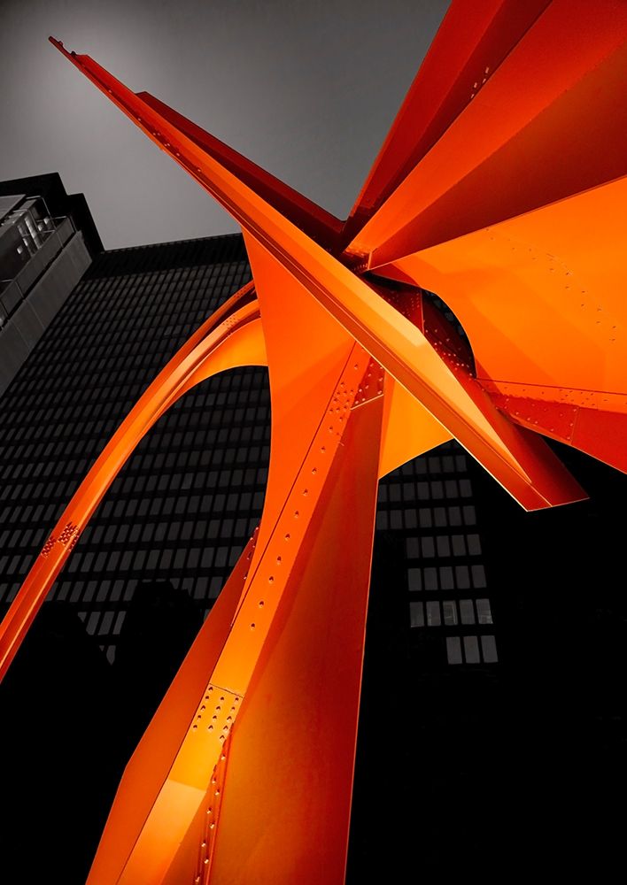 Chicago Flamingo