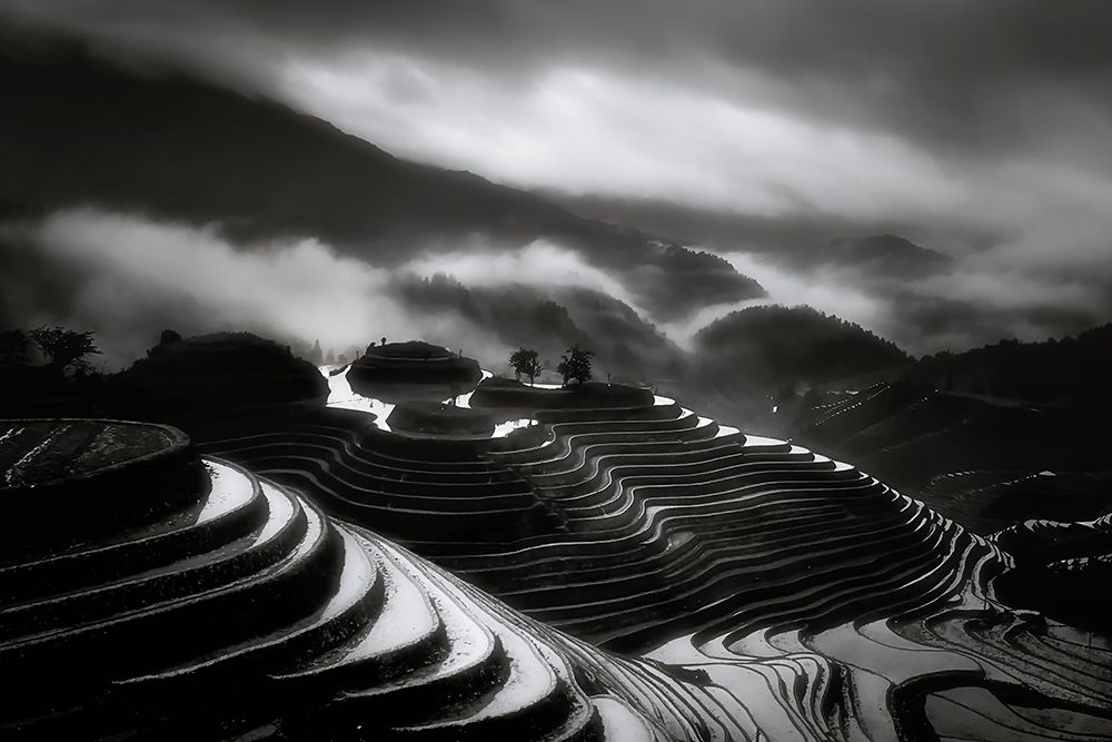 The terraced fields.