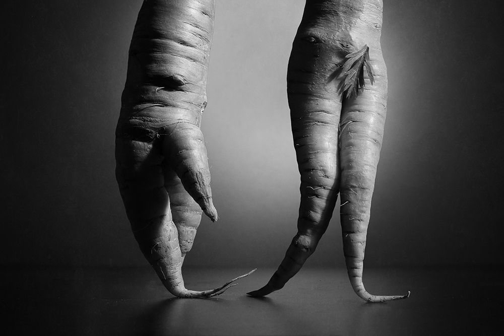 Just A Still Life Photo With Two Carrots. Nothing Else.