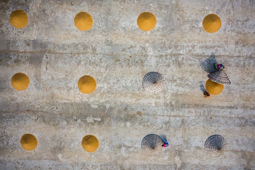 Rice Drying
