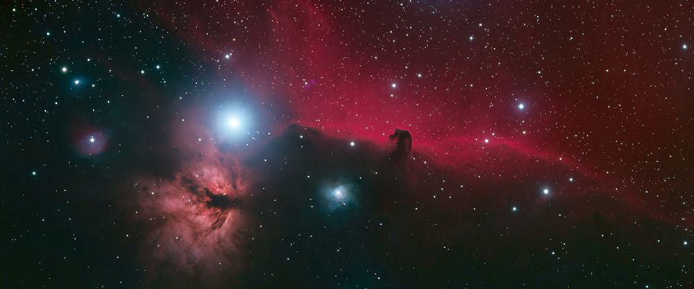Horsehead and Flame Nebulae