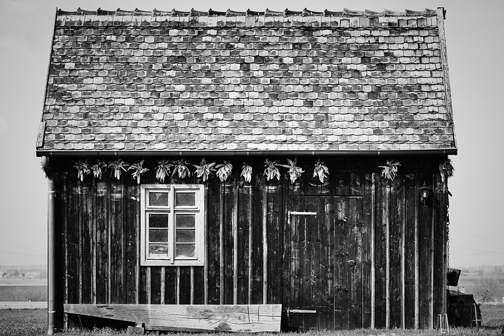 Old Shed