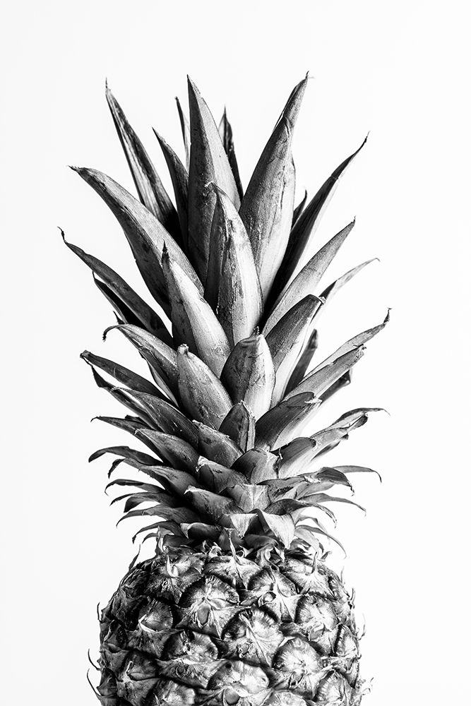 Pineapple Black A White 01