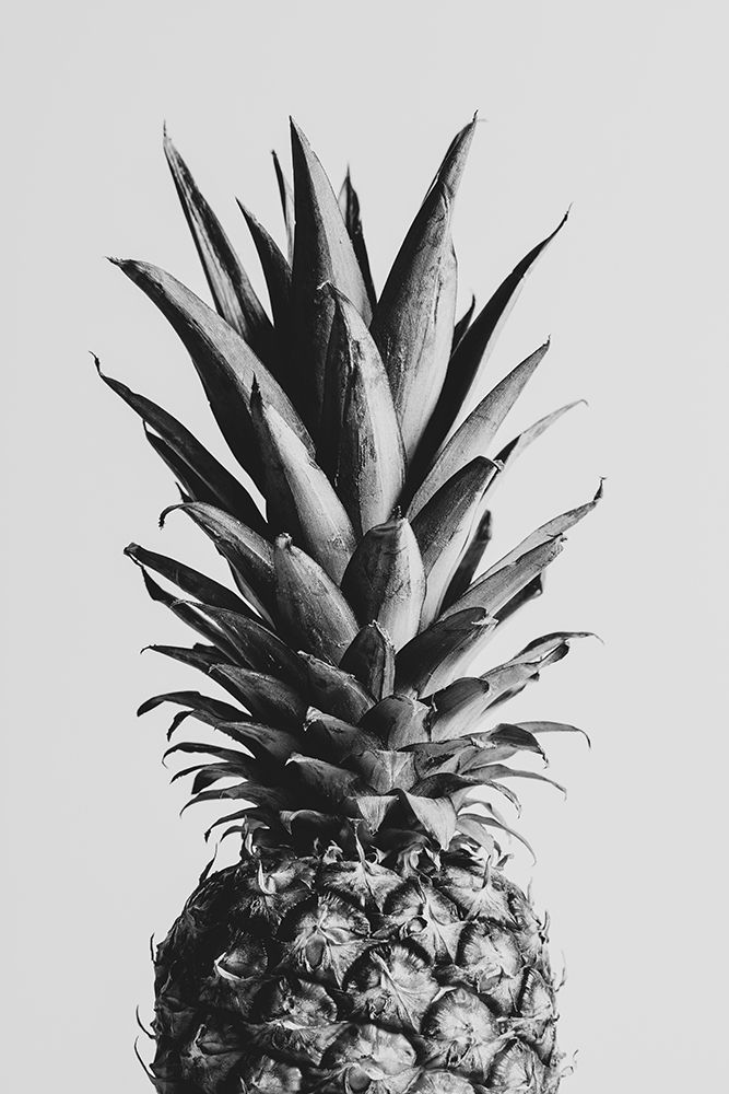 Pineapple Black A White 02