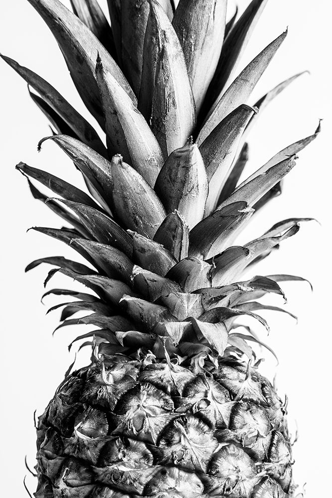Pinapple Black a White 03