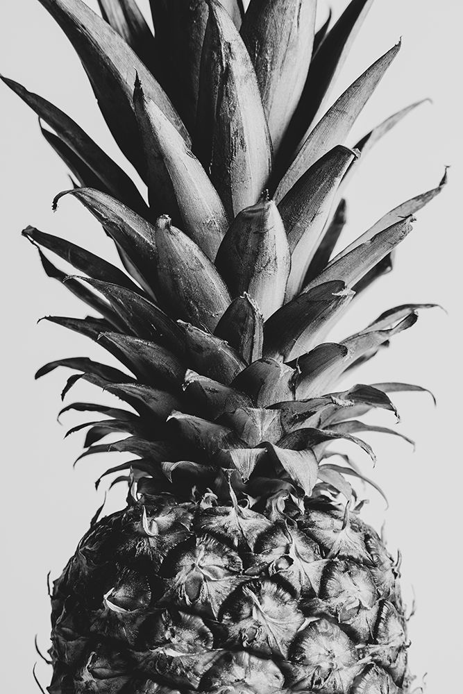 Pinapple Black a White 04