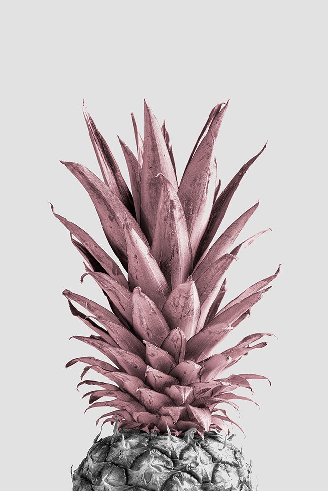 Pineapple Pink 04