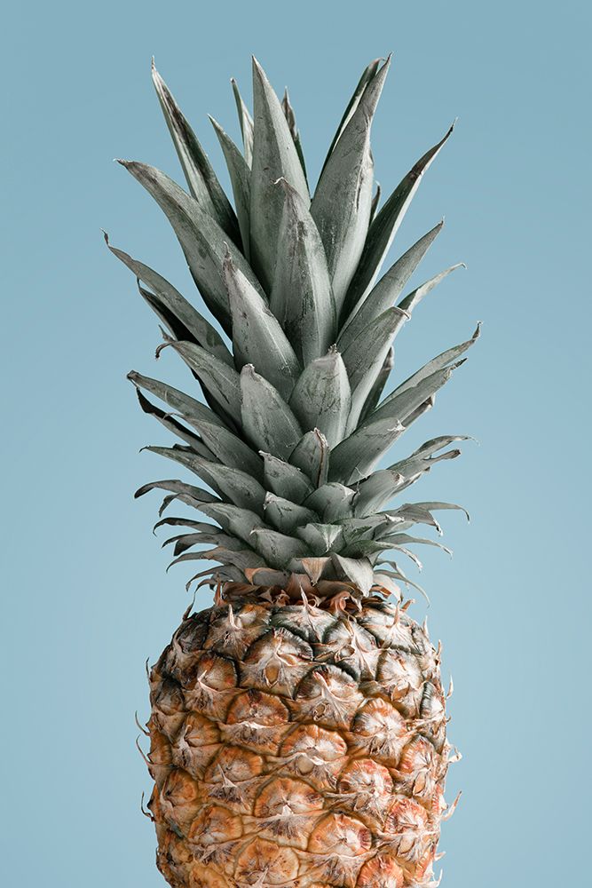 Pineapple Blue 02