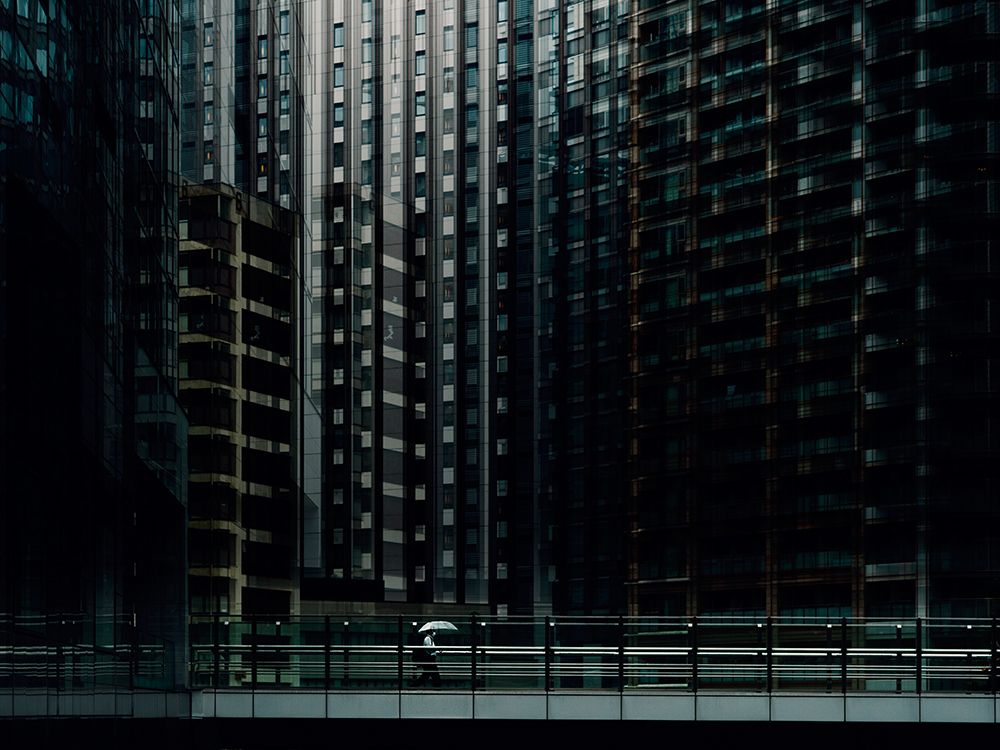 Urban forest