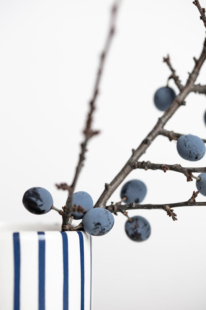 Berries Blue