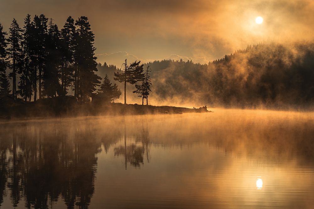 Sunny Morning