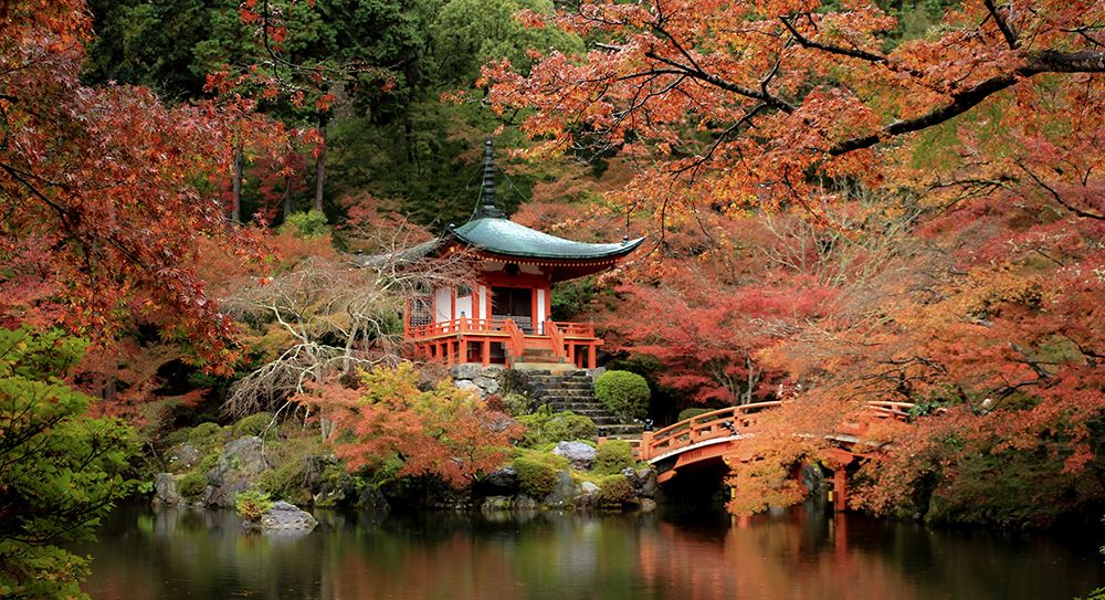 Fall In Love With Kyoto