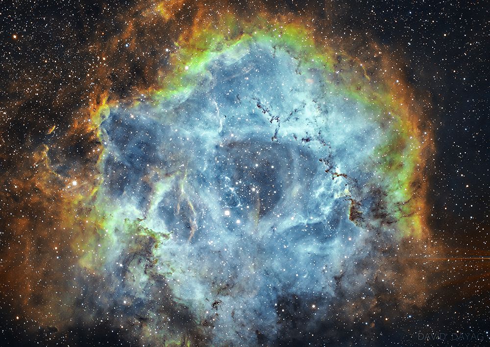 The Rosette Nebula