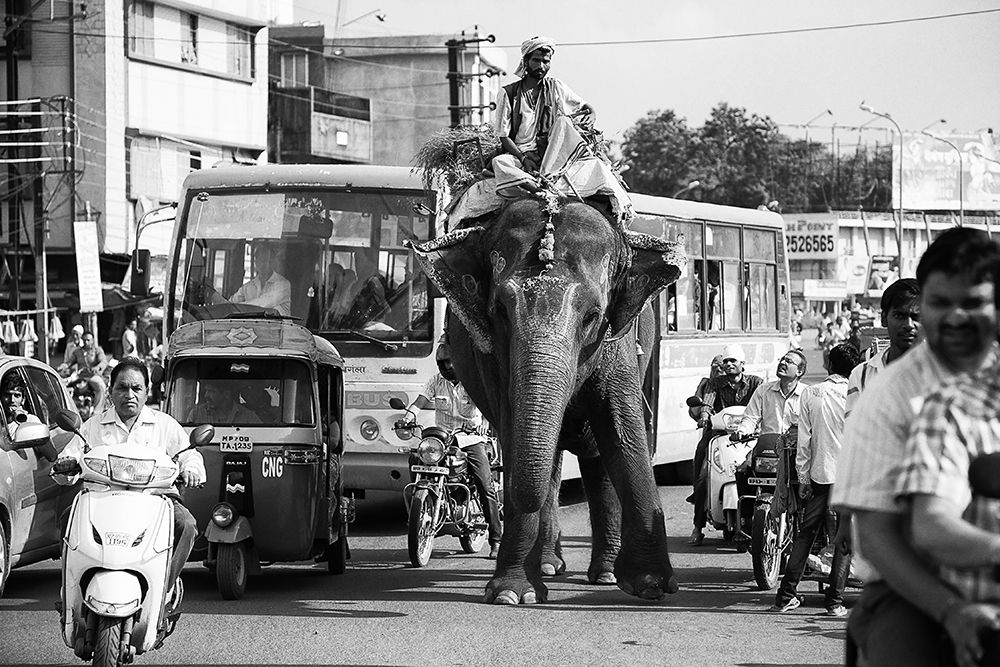 Traffic Jam