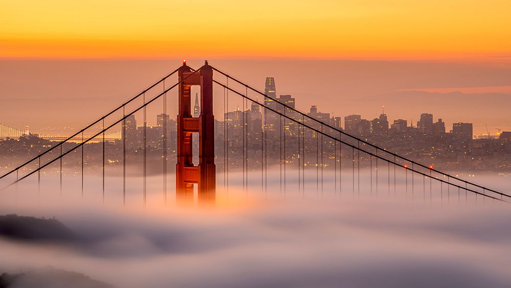 Karl, The San Francisco Fog