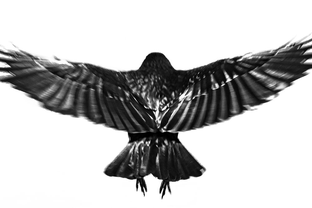 flying.