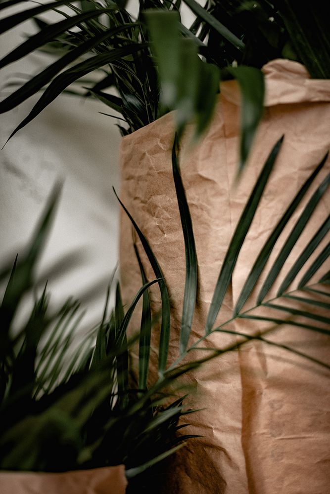 Palms a Craft Paper