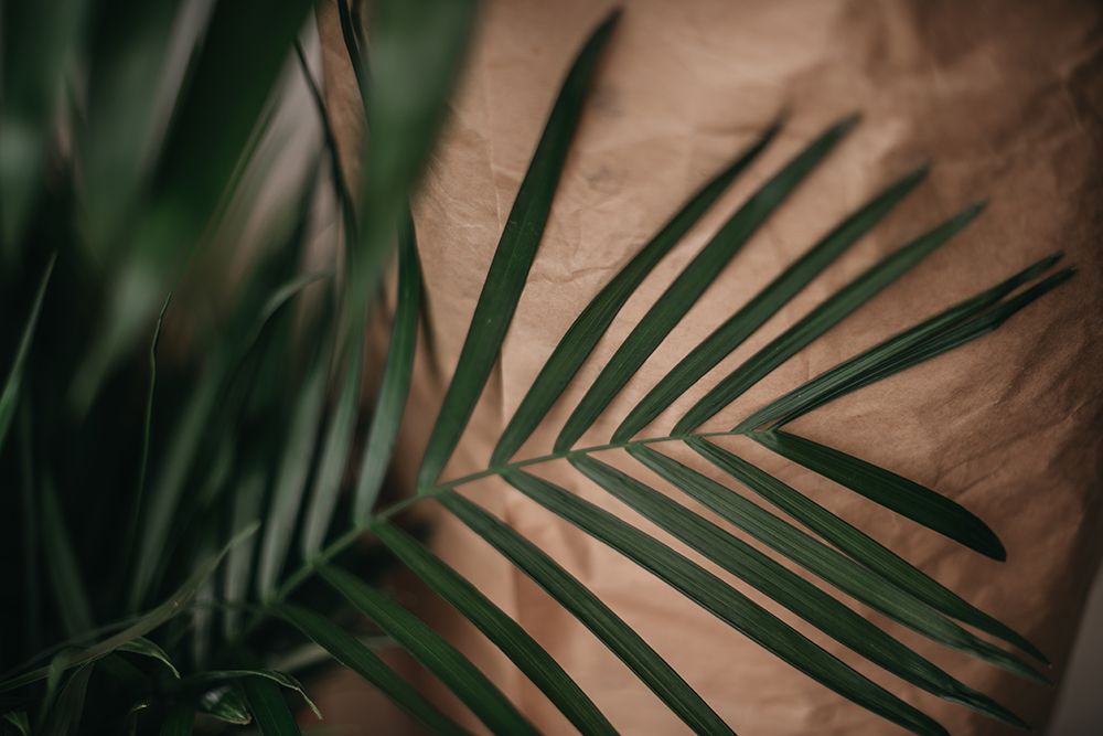Palms a Craft Paper