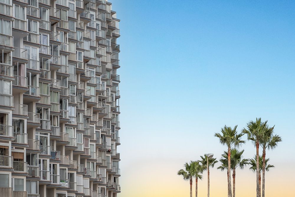 Palms and apartments