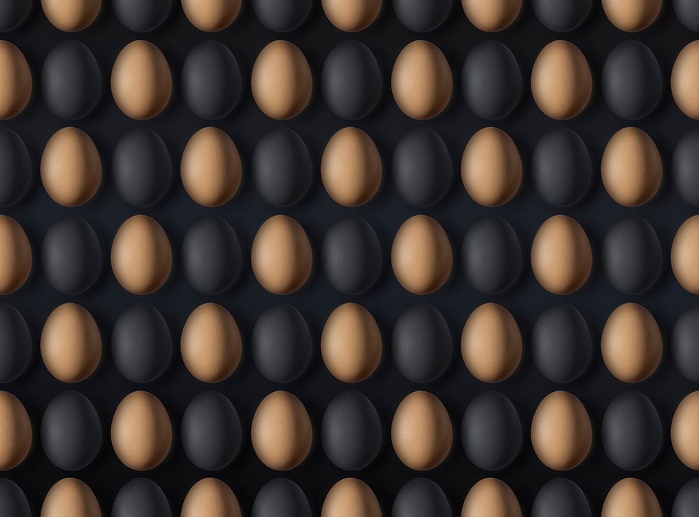 EGG