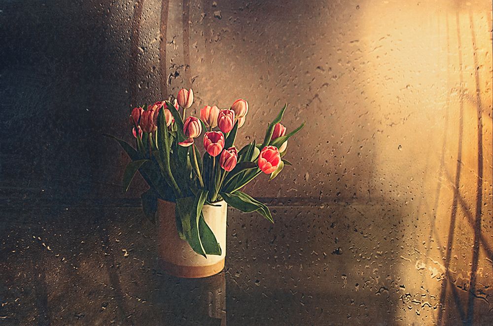 Tulips In The Room