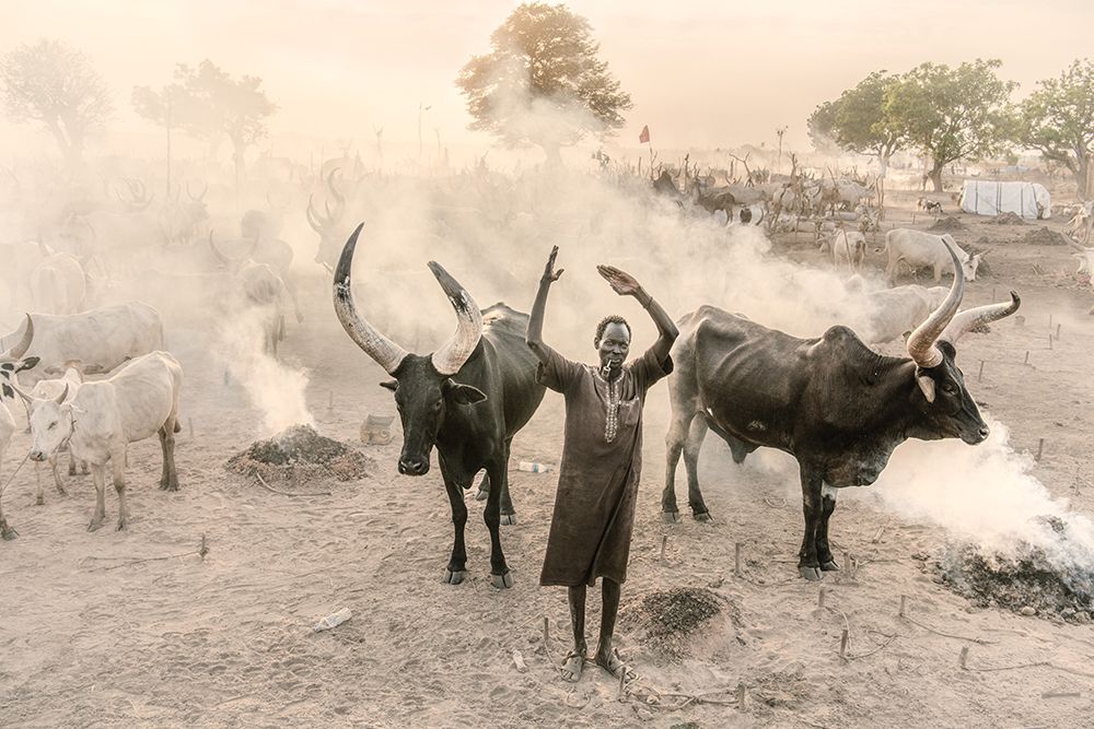 At One With My Cattle