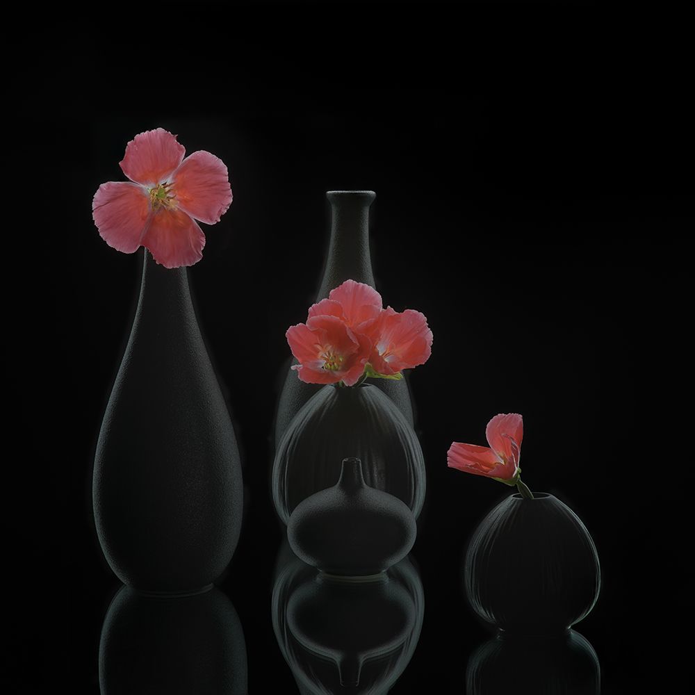 Still Life 46