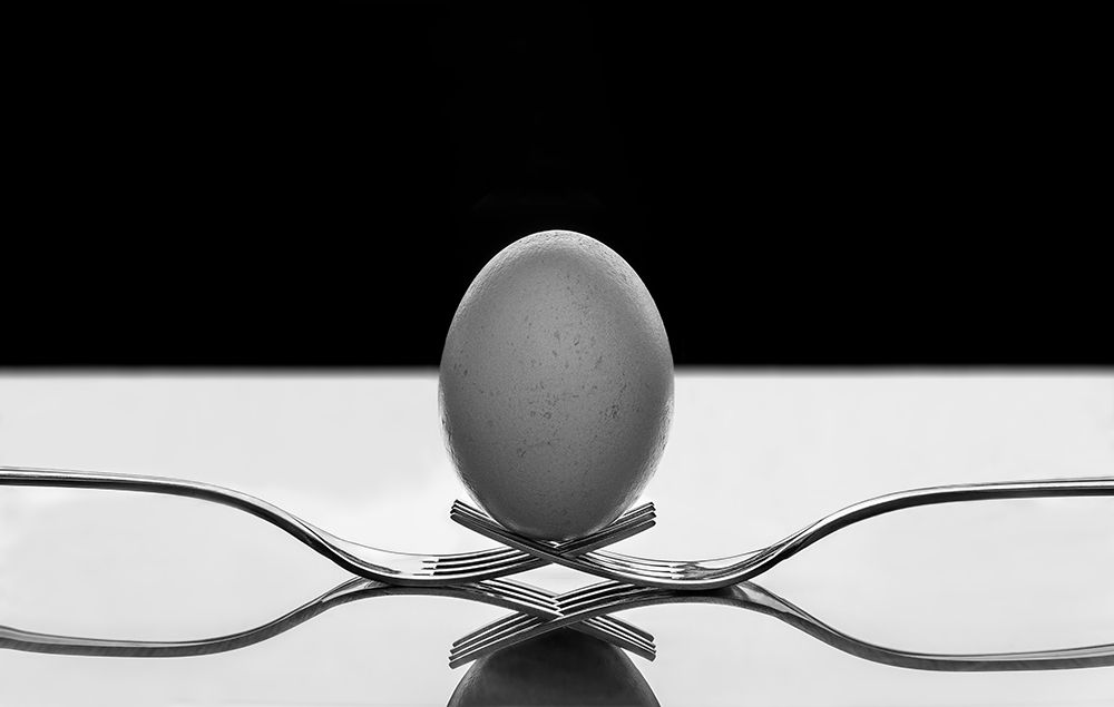 The egg