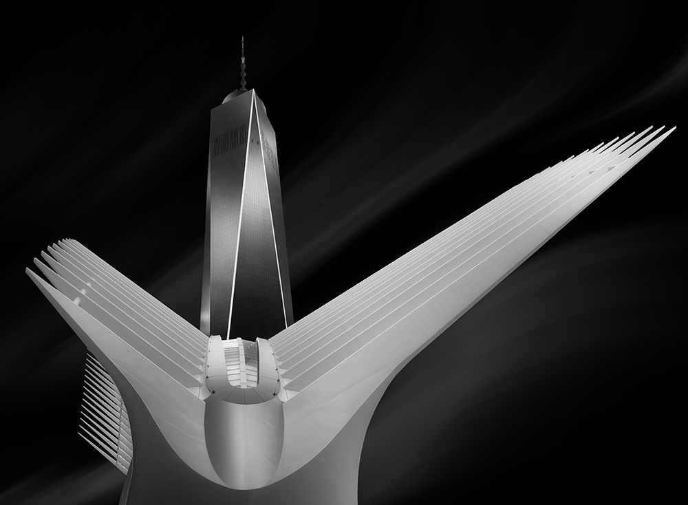 Flying In Oculus