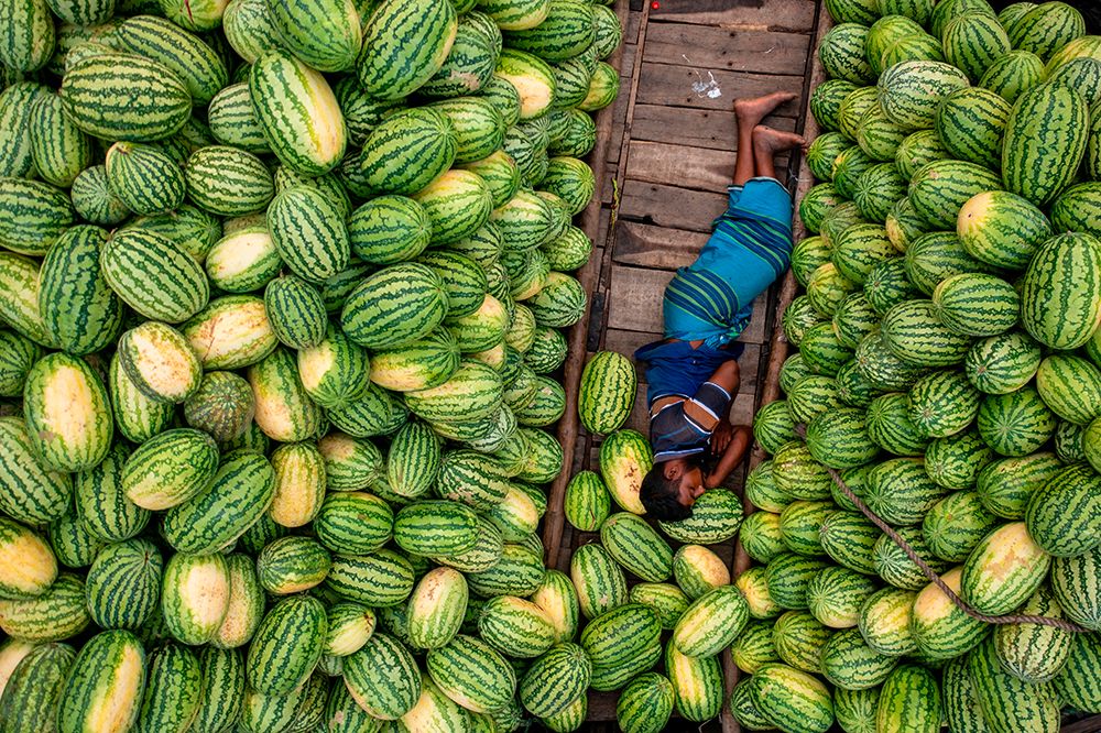 Sleeping On Watermelon Boats