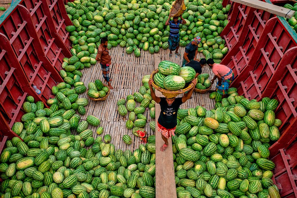 Unloading Watermelons