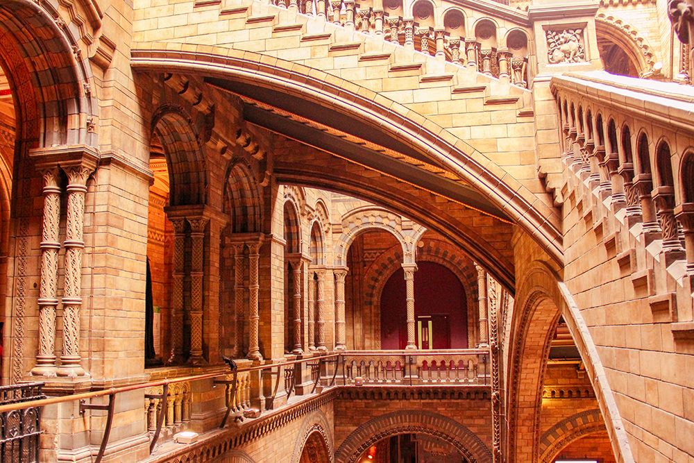 In Natural History Museum