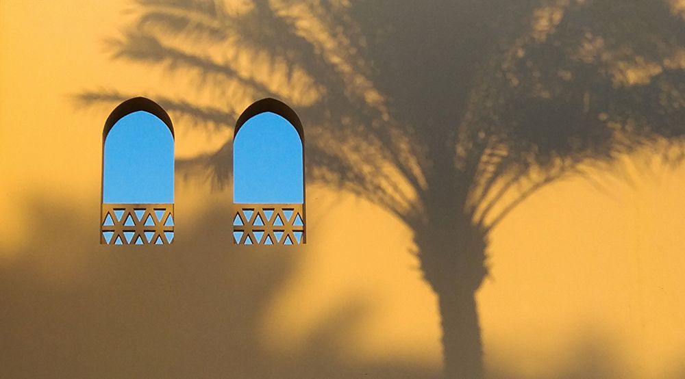 Palm