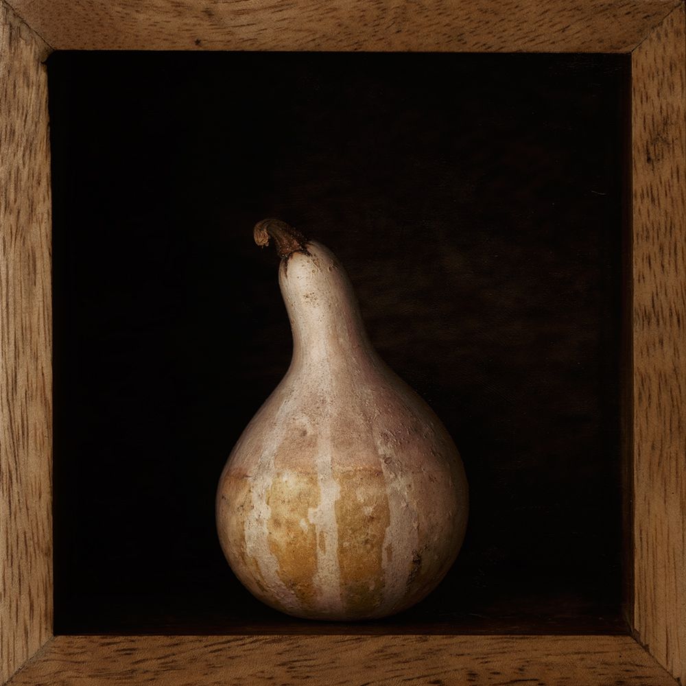 Gourd In A Box