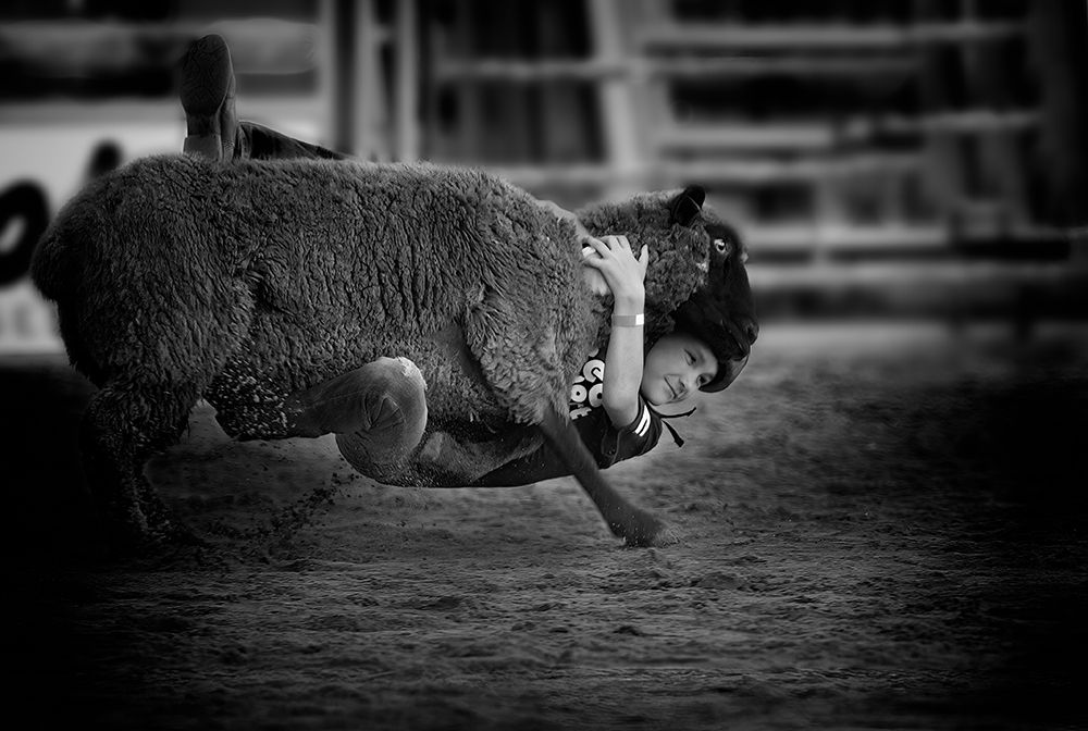 The Brave  Little Cowboy Is  Smile